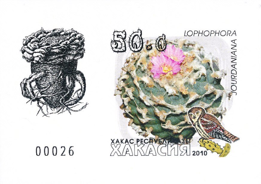 Cacti