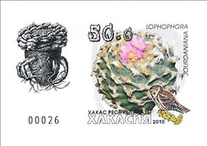 Souvenir Sheet, Cacti, Cinderellas,  , Cacti, Plants (Flora)