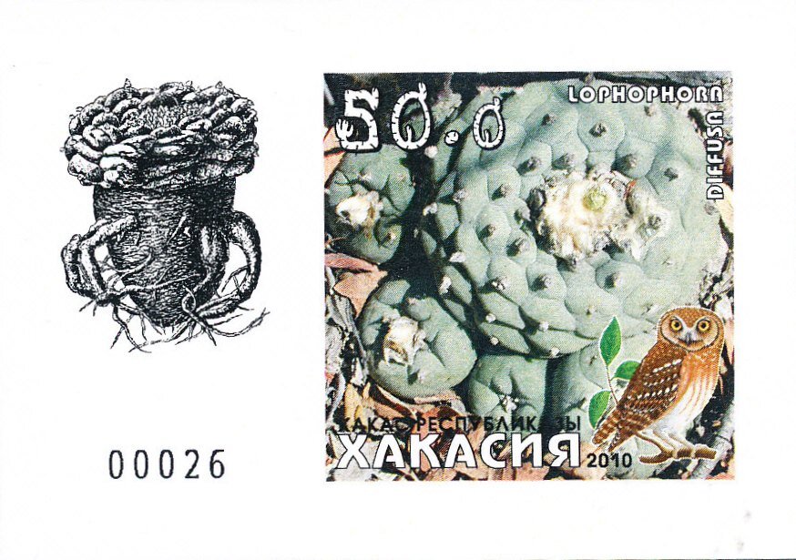Cacti