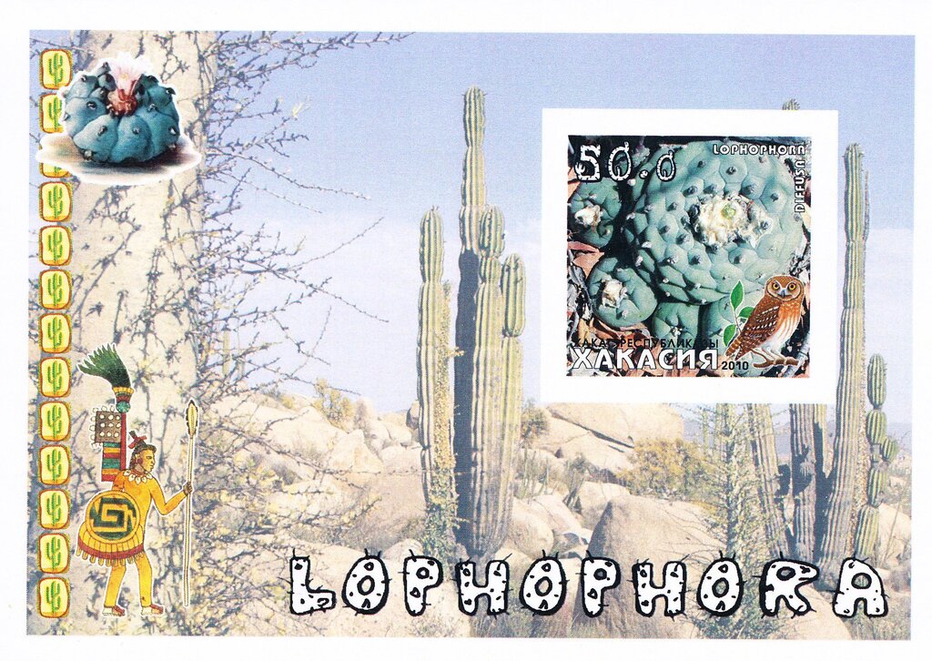 Cacti