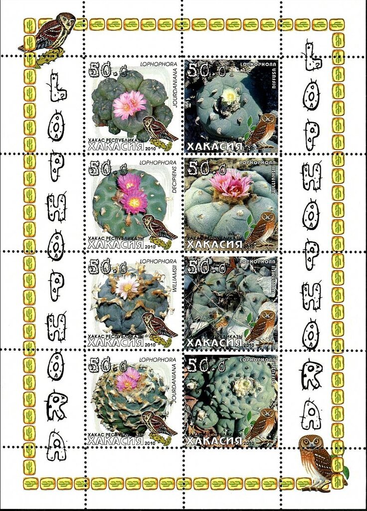 Cacti