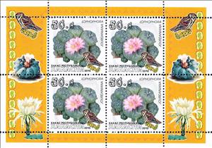 Mini Sheet, Cacti, Cinderellas,  , Cacti, Plants (Flora)