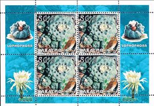 Mini Sheet, Cacti, Cinderellas,  , Cacti, Plants (Flora)