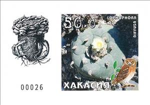 Souvenir Sheet, Cacti, Cinderellas,  , Cacti, Plants (Flora)