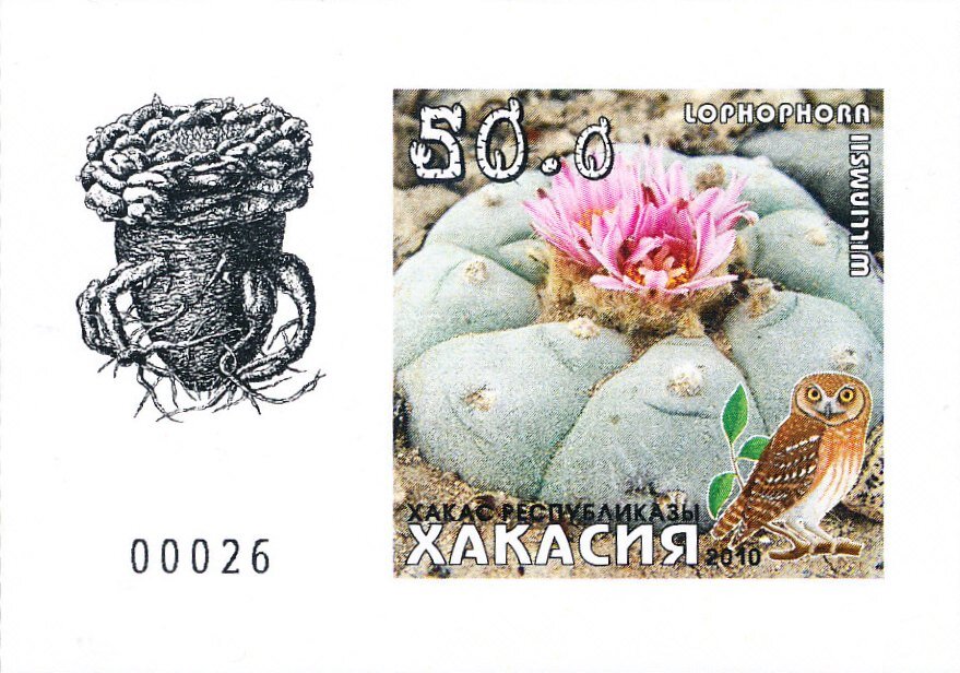 Cacti