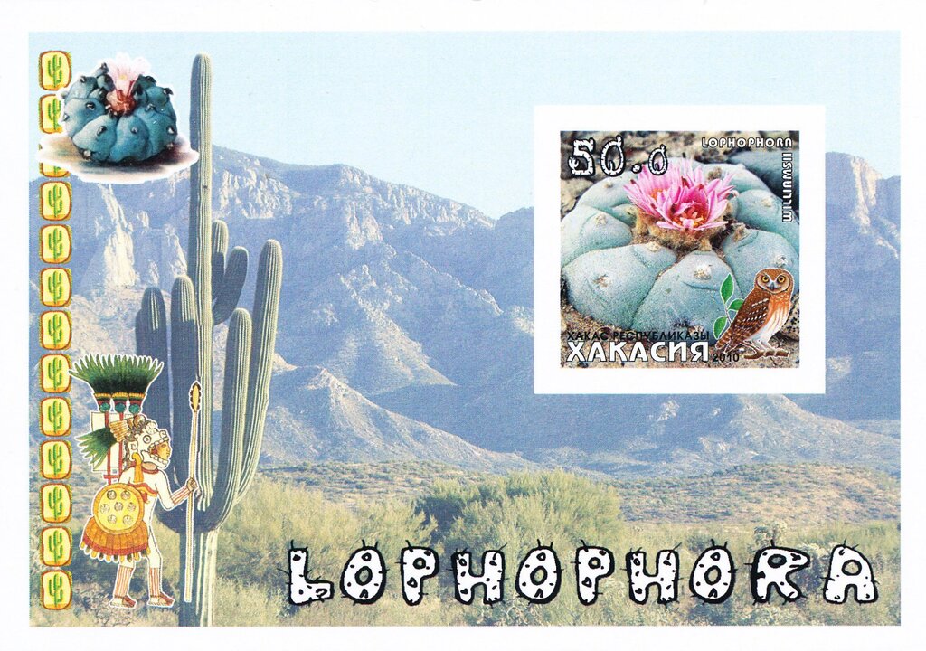 Cacti