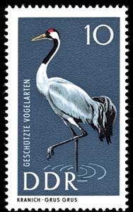 Stamp, Gray Crane (Grus grus), Germany, Democratic Republic,  , Birds, Animals (Fauna)