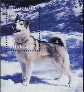 Souvenir Sheet, Dogs, Cinderellas,  , Animals (Fauna), Dogs, Mammals