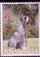 Stamp, Dogs, Cinderellas,  , Animals (Fauna), Dogs, Mammals