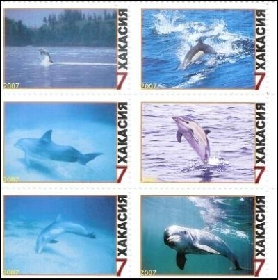 Dolphins