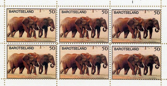 Elephants