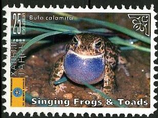 Frogs