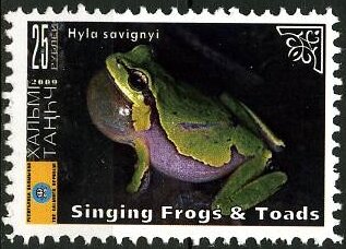 Frogs