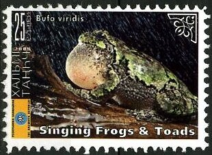 Stamp, Frogs, Cinderellas,  , Animals (Fauna), Frogs