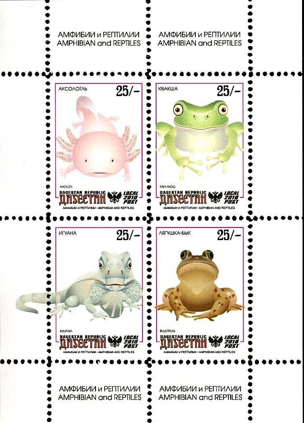 Frogs and Lizards