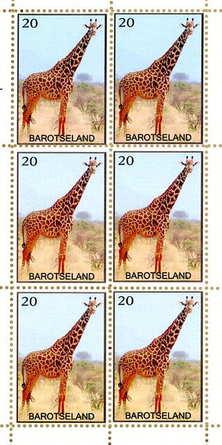 Giraffe