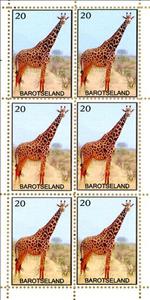 Mini Sheet, Giraffe, Cinderellas,  , Animals (Fauna), Giraffes, Mammals
