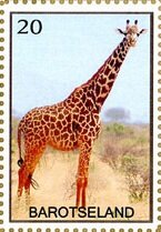 Stamp, Giraffe, Cinderellas,  , Animals (Fauna), Giraffes, Mammals