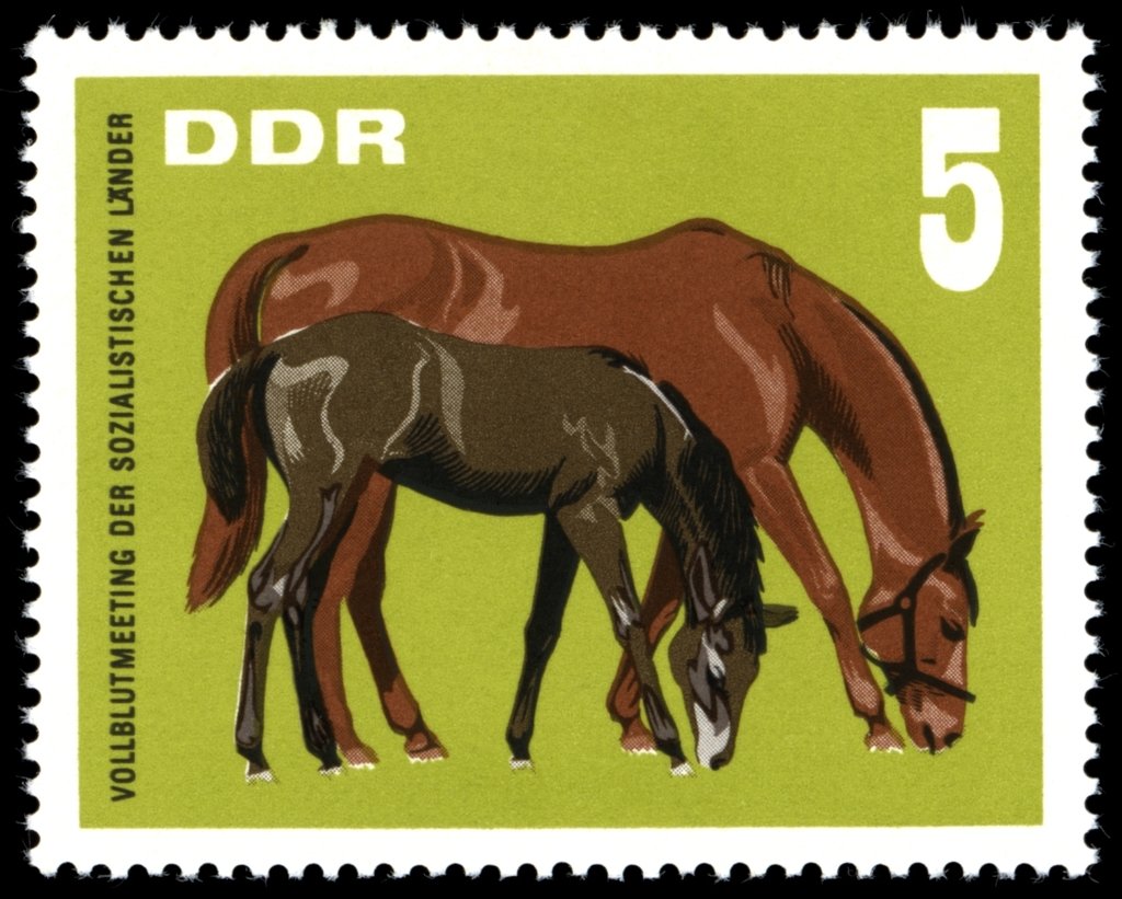 Mare with Foal