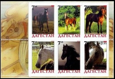 Horses