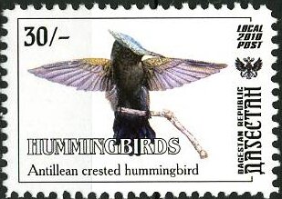 Humming Birds