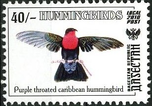 Humming Birds