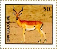 Stamp, Impala, Cinderellas,  , Animals (Fauna), Antelopes, Mammals