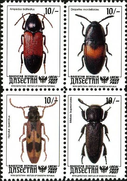 Insects