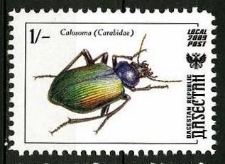 Insects