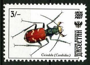 Insects