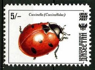 Insects