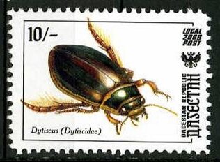 Insects