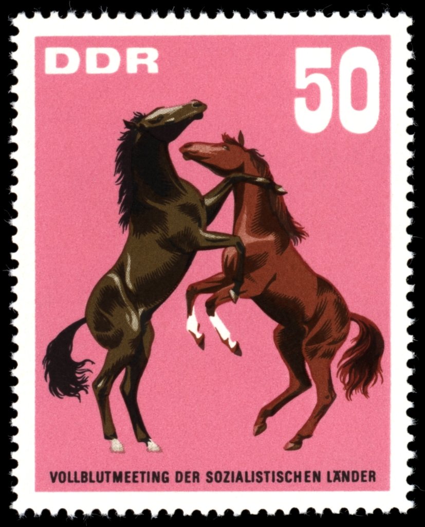 Gambling Yearling Stallions