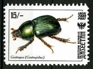 Insects