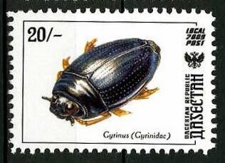 Stamp, Insects, Cinderellas,  , Animals (Fauna), Insects