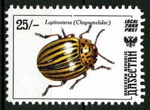 Stamp, Insects, Cinderellas,  , Animals (Fauna), Insects