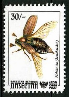 Insects