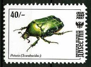 Insects