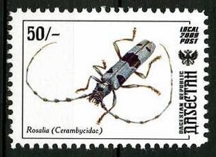 Insects