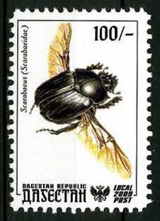 Insects
