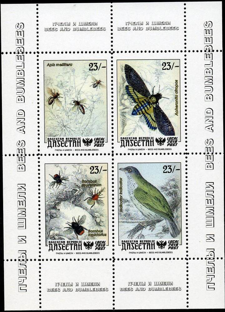 Insects