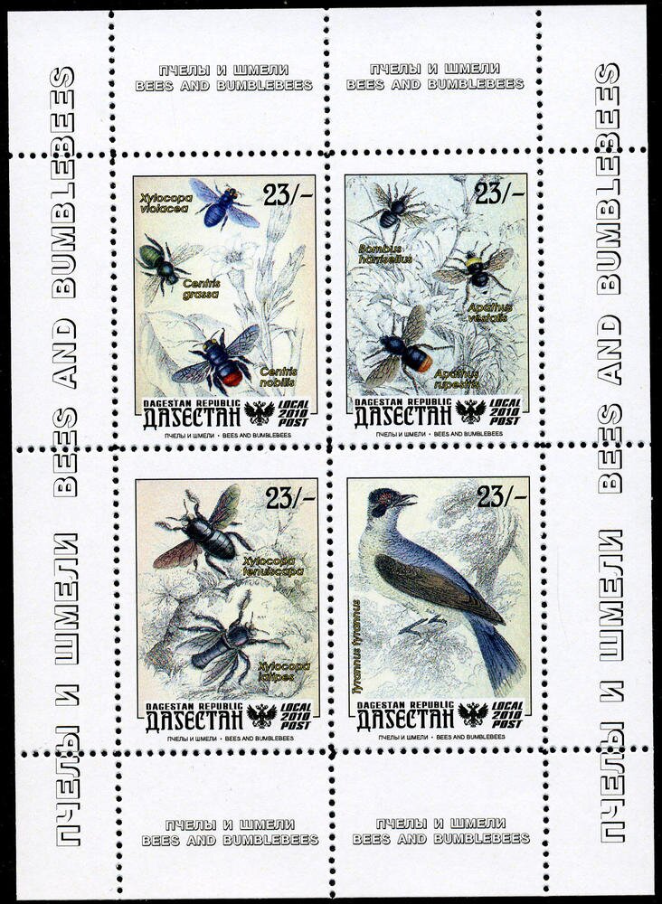 Insects
