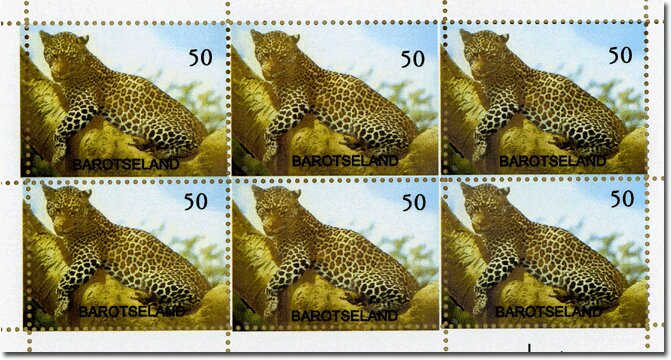 Leopard
