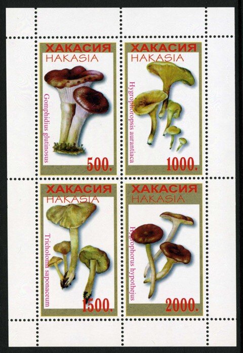 Mushrooms