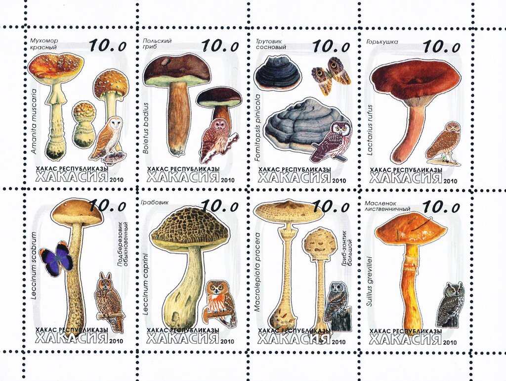 Mushrooms