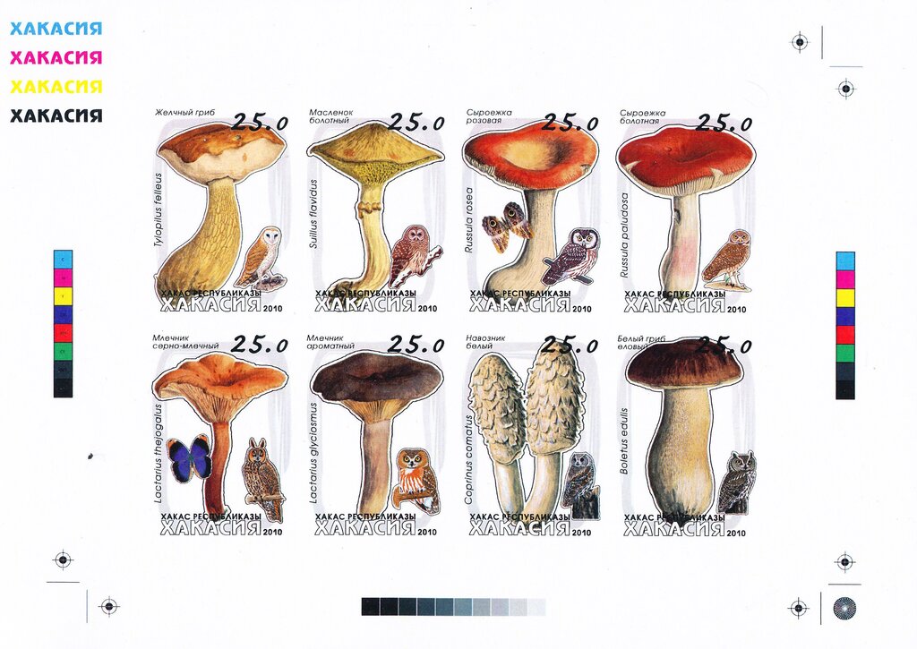 Mushrooms