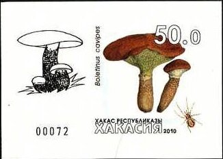 Mushrooms