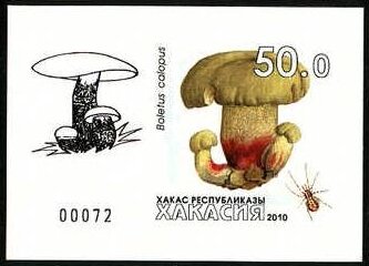 Mushrooms