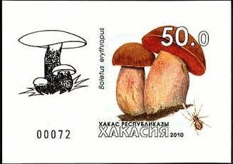 Mushrooms
