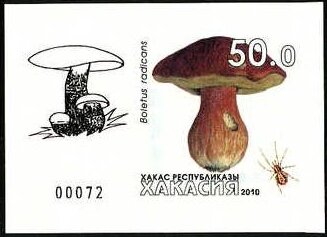 Mushrooms